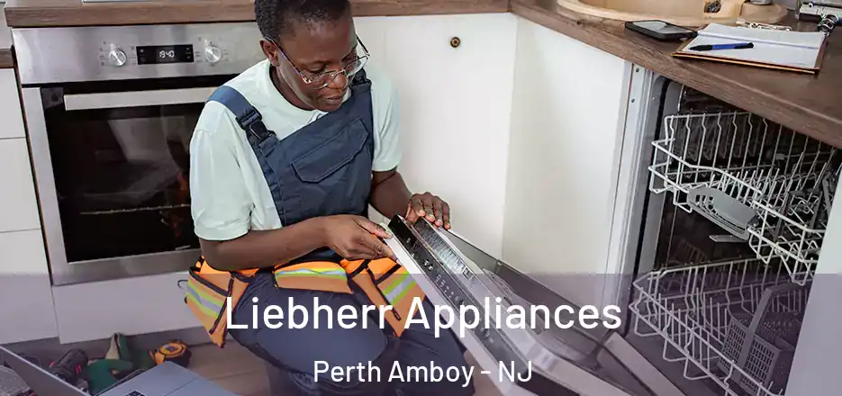  Liebherr Appliances Perth Amboy - NJ